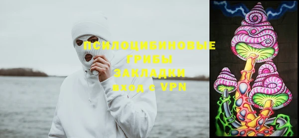 соль ск Аркадак