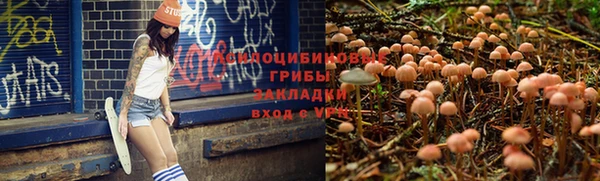 метадон Арсеньев
