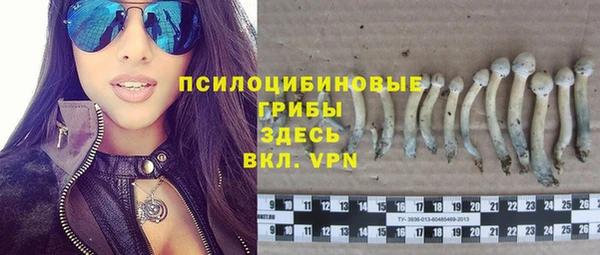 прущая мука Саяногорск