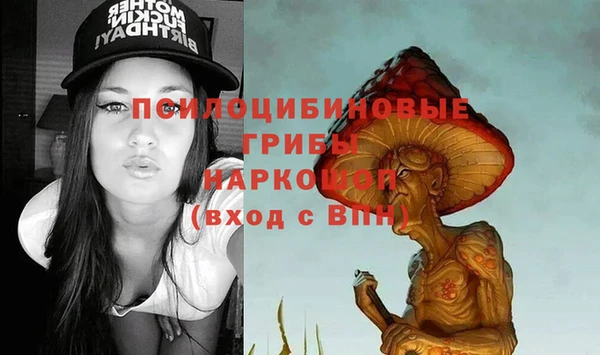 соль ск Аркадак