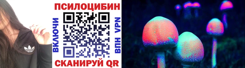 Галлюциногенные грибы MAGIC MUSHROOMS  Баксан 