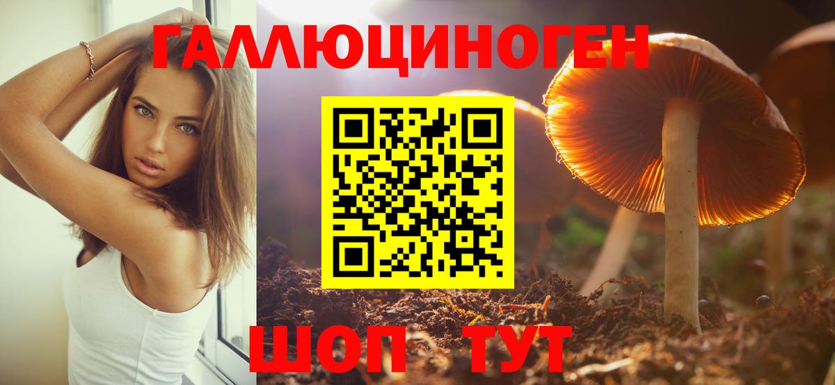Псилоцибиновые грибы Psilocybine cubensis  Вход с VPN  Баксан  Псилоцибиновые грибы прущие грибы 
